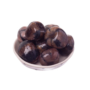 Chiastolite Tumbled